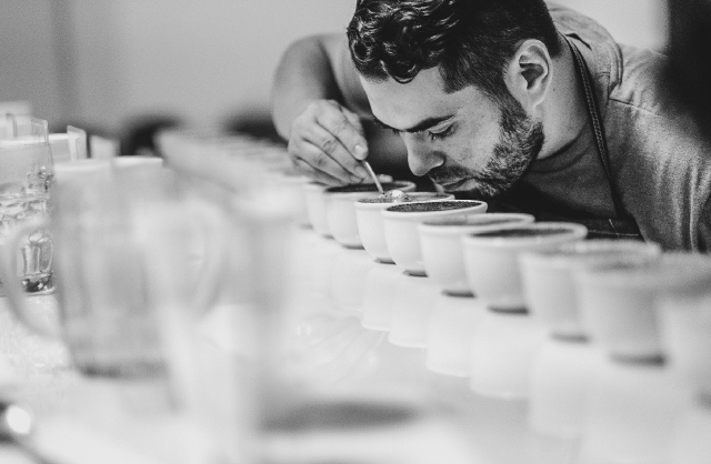 Marco Cupping 7